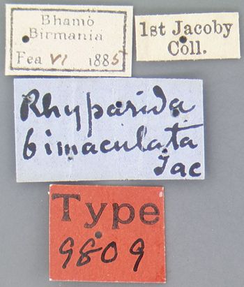 Media type: image; Entomology 9809   Aspect: labels